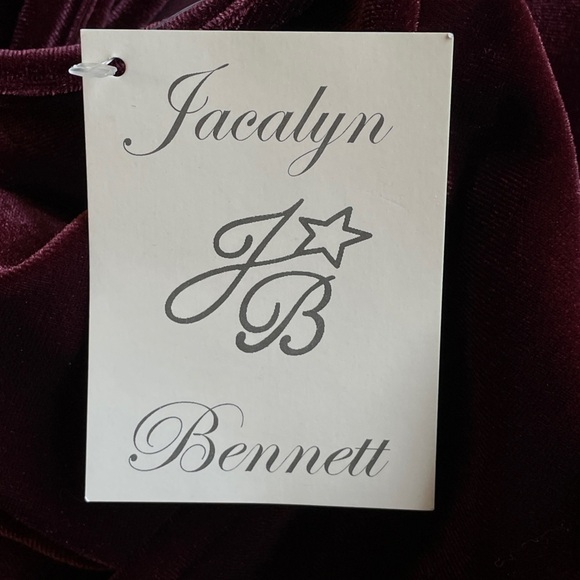 Jacalyn Bennett NEW Fairy Velvet Maxi Dress Burgundy Velvet Surplice V Neck Med - Picture 8 of 9
